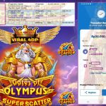 VIRAL4DP JACKPOT PRAGMATIC GATES OF OLYMPUS Rp.30.000.000,- LUNAS