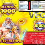 VEGAS6D JACKPOT PRAGMATIC GATES OF OLYMPUS 1000 Rp.17.000.000,- LUNAS