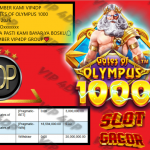 VIP4DP JACKPOT PRAGMATIC GATES OF OLYMPUS 1000 Rp 20.000.000,- LUNAS